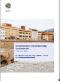 Underfunded, underprepared, underwater? cities at risk